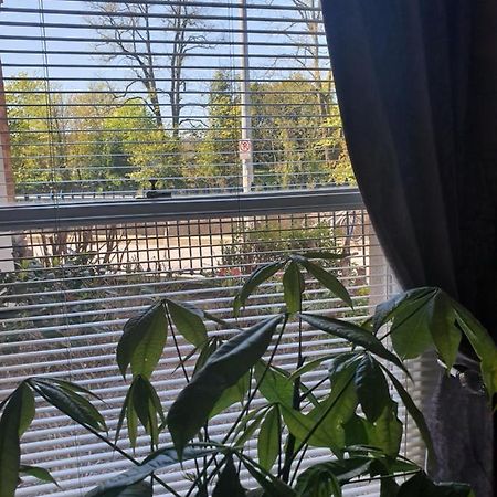 River View Apartment Suite Κορκ Εξωτερικό φωτογραφία