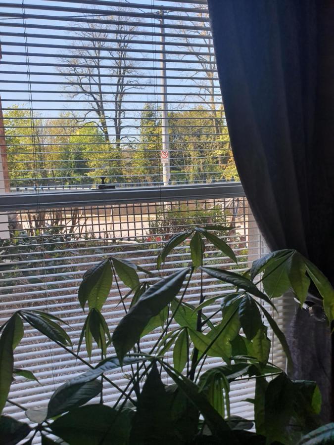 River View Apartment Suite Κορκ Εξωτερικό φωτογραφία